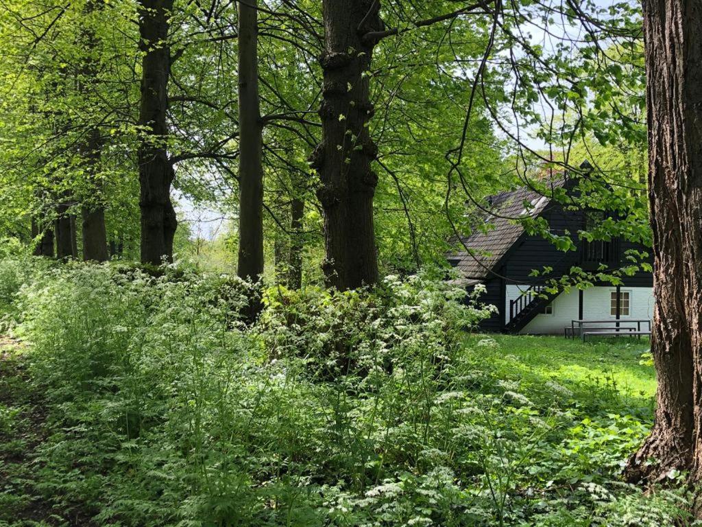 Het Wagenhuis Loon op Zand Εξωτερικό φωτογραφία